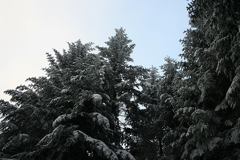 Bieszczady 12.2007 042